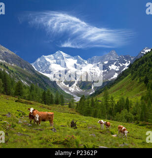 Österreich, Tirol, Zillertal, Mayrhofen, in Richtung Bodenalm Grundschartner Stockfoto