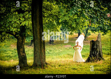 Schöne Braut mit Schleier und klassische Kleidung in der Nähe der alten Baum im Park Sommer, schöne Hintergrund Stockfoto