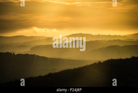 Schöne Magic Hour Licht über Misty Rolling Hills Stockfoto