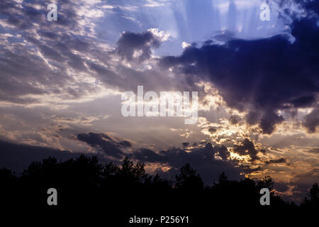 Sonnenuntergang mit dunkelblauen Wolken über dem Wald Stockfoto
