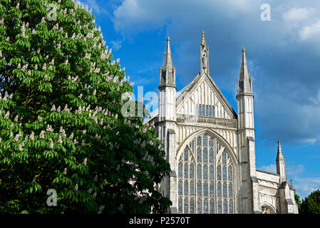 Kathedrale von Winchester, Hampshire, England UK Stockfoto