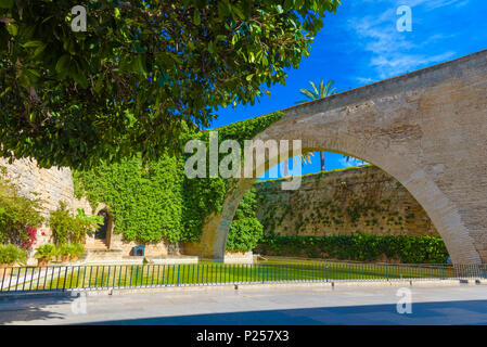 Schönen Garten innerhalb der berühmte La Seu (St. Maria) Kathedrale von Palma de Mallorca, Spanien Stockfoto