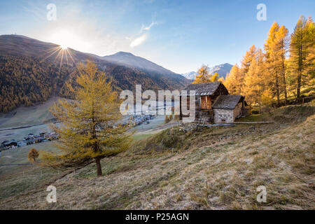 Den Sonnenaufgang im Herbst Tag in Livigno, Provinz von Sondrio, Valtellina, Lombardei, Italien, Europa Stockfoto