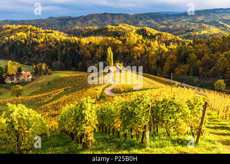 Die heartshaped Straße bei Sonnenuntergang. Spicnik, Kungota, Drau region, Slowenien. Stockfoto