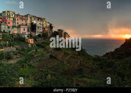 Sonnenuntergang auf Portofino, Cinque Terre, Gemeinde Vernazza Provence, La Spezia, Ligurien, Italien, Europa Stockfoto