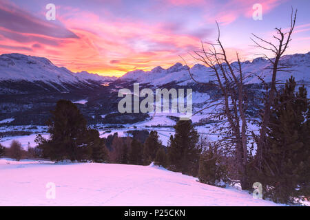 Sonnenuntergang über Engadin mit Celerina Dorf im Vordergrund. Engadin, Graubünden, Schweiz. Stockfoto