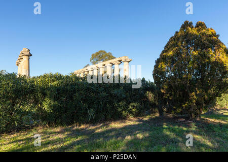 Tavole Palatine, Archäologische Stätte von Metaponto, Policoro Village, Matera, Basilikata, Italien Stockfoto