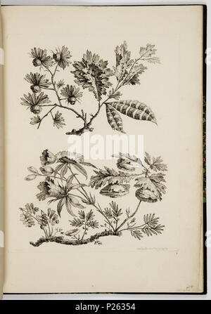 . Englisch: Gebunden Drucken (Frankreich). Vor 1921 (Eingangsdatum) 39 gebunden Drucken (Frankreich) (CH) 18223087 Stockfoto