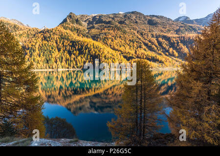 Lago di Gioveretto (Zufrittsee) im Herbst, Val Martello, Vinschgau, Provinz Bozen, Südtirol, Italien Stockfoto