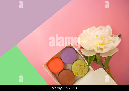 Bunte köstlichen französischen Dessert macarons in einer Box und eine schöne weiße Pfingstrose auf Rosa, Violett und Grün Hintergrund. Stockfoto