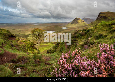 Quiraing Berglandschaft der Trotternish Ridge auf der Insel Skye, Innere Hebriden, Schottland, Vereinigtes Königreich Stockfoto