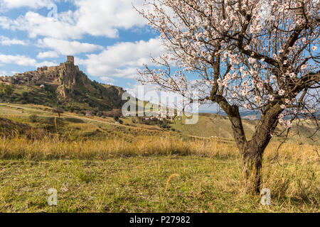 Aussicht auf den malerischen mittelalterlichen Geisterstadt Pisticci, Provinz Matera, Basilikata, Italien Stockfoto