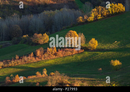 Castell'Arquato Hügeln, in der Provinz von Piacenza, Emilia Romagna, Italien, Europa. Ein Blick auf die Hügel im Herbst bei Sonnenuntergang. Stockfoto