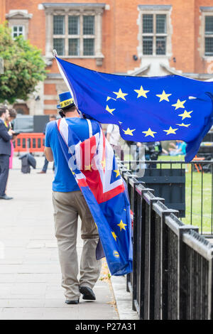 Westminster, London, UK, 13. Juni 2018; Anti Brexit Spoiler mit Fahnen geht weg von der Kamera. Volle Länge. Porträt Stockfoto