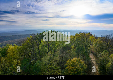 Wien, Blick vom Aussichtsturm Habsburgwarte am Berg Hermannskogel, Wienerwald (Wienerwald) und Exel Berg, 19. Döbling, Wien, Österreich Stockfoto