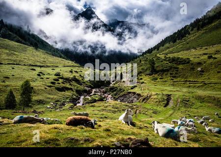 Hautes-Pyrenees Abteilung (Pyrenäen, Frankreich): Die Moudang Tal, der zu dem Netzwerk der Naturschutzgebiete "Nat Stockfoto