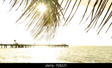 Golden Morning Sunrise in Palm Cove Far North Queensland. Palm Cove Pier in der Nähe von Cairns. Start des Ironman Rennen. Tourismus Far North Queensland. Stockfoto