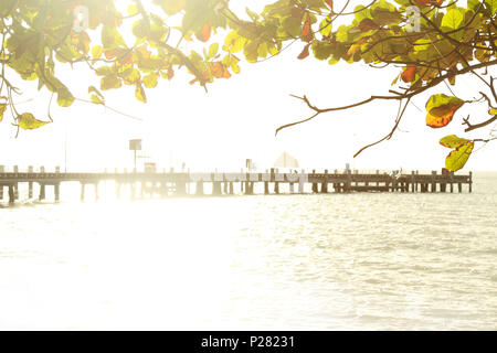 Golden Morning Sunrise in Palm Cove Far North Queensland. Palm Cove Pier in der Nähe von Cairns. Start des Ironman Rennen. Tourismus Far North Queensland. Stockfoto