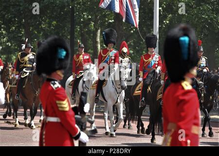 LONDON - 09 Jun, 2018: Prinz William, Herzog von Cambridge an der Die Farbe 2018 auf der Mall in London Stockfoto