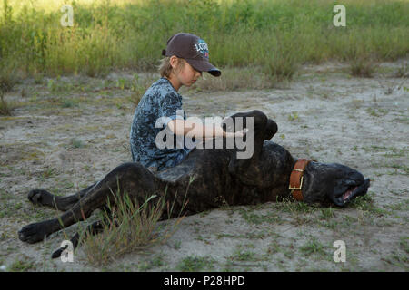 Junge spielt mit großer Hund auf dem Boden Stockfoto