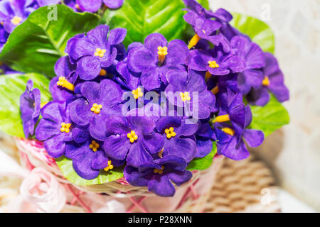 Schönen Blumenstrauß von künstlichen lila Veilchen Stockfoto