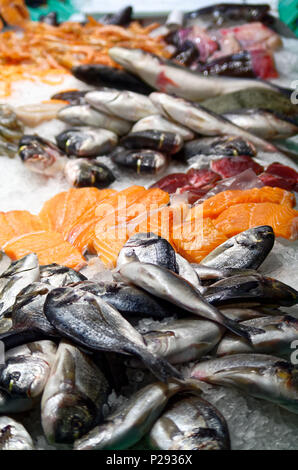 Frischer Fisch auf Eis im Fischmarkt. Barcelona, Spanien Stockfoto