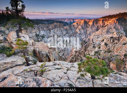 Box Tod hohlen Wildnis, Blick auf den Sonnenaufgang von Hells Backbone Road, Colorado Plateau, Utah, USA Stockfoto