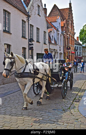 Touristen genießen die beliebte Kutsche Tour entlang der gepflasterten Straßen der Altstadt von Brügge und Oostende, Belgien Stockfoto