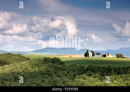 Kapelle Cappella della Madonna di Vitaleta, Val D'Orcia San Quirico Toskana Stockfoto