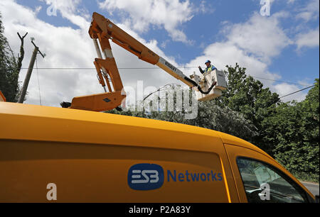 ESB Networks Besatzungen arbeiten macht, um Häuser in der Nähe von Naas, Co Kildare wiederherzustellen, nachdem Sturm Hector ungewöhnlich starke Winde von 50-70 mph Teig die gesamte Insel über Nacht sah. Stockfoto