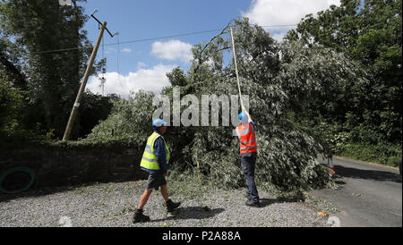 ESB Networks Besatzungen arbeiten macht, um Häuser in der Nähe von Naas, Co Kildare wiederherzustellen, nachdem Sturm Hector ungewöhnlich starke Winde von 50-70 mph Teig die gesamte Insel über Nacht sah. Stockfoto