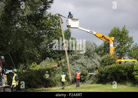 ESB Networks Besatzungen arbeiten macht, um Häuser in der Nähe von Naas, Co Kildare wiederherzustellen, nachdem Sturm Hector ungewöhnlich starke Winde von 50-70 mph Teig die gesamte Insel über Nacht sah. Stockfoto