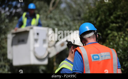 ESB Networks Besatzungen arbeiten macht, um Häuser in der Nähe von Naas, Co Kildare wiederherzustellen, nachdem Sturm Hector ungewöhnlich starke Winde von 50-70 mph Teig die gesamte Insel über Nacht sah. Stockfoto