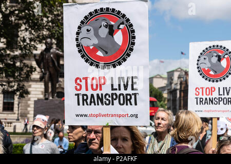 London, 14. Juni 2018, Ende Transport lebender Tiere Protest auf den Parliament Square, London Credit Ian Davidson/Alamy leben Nachrichten Stockfoto