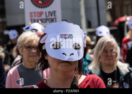 London, 14. Juni 2018, Ende Transport lebender Tiere Protest auf den Parliament Square, London Credit Ian Davidson/Alamy leben Nachrichten Stockfoto