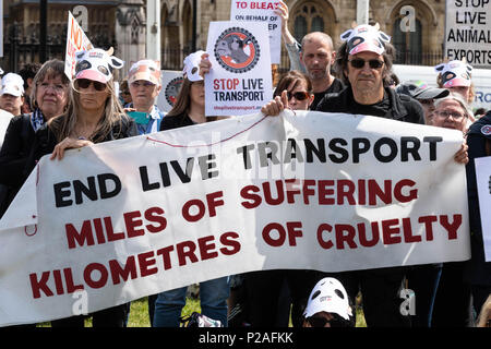 London, 14. Juni 2018, Ende Transport lebender Tiere Protest auf den Parliament Square, London Credit Ian Davidson/Alamy leben Nachrichten Stockfoto