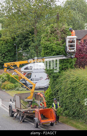 14. Juni 2018. Alvechurch, Worcestershire, England, UK. Fremdfirmen clearing Efeu und Hecke aus rund einem telegraphenmast an der Höhe der Brutzeit der Vögel Stockfoto