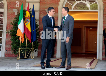 Madrid, Spanien. 14 Jun, 2018. Taoiseach Leo Varadkar in Madrid mit neuen spanischen Ministerpräsidenten Pedro Sánchez, Donnerstag, Juni 14, 2018 erfüllen. Taoiseach Leo Varadkar ist zu Gesprächen in Madrid mit neuen spanischen Ministerpräsidenten Pedro Sanchez. Das Paar wird die Brexit Verhandlungen vor einem wichtigen Gipfel der Staats- und Regierungschefs der EU in Brüssel am Ende dieses Monats sowie die Zukunft der EU und einer Reihe von bilateralen Fragen zu erörtern. Der Taoiseach wird später eine Spanish-Irish business Veranstaltung teil. Credit: Irish Auge/Alamy leben Nachrichten Stockfoto