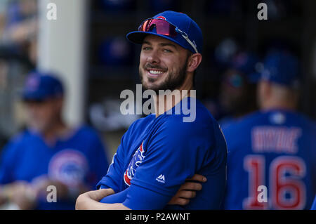 Milwaukee, WI, USA. 13. Juni, 2018. Chicago Cubs dritter Basisspieler Kris Bryant #17 Während der Major League Baseball Spiel zwischen den Milwaukee Brewers und die Chicago Cubs am Miller Park in Milwaukee, WI. John Fisher/CSM/Alamy leben Nachrichten Stockfoto