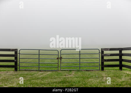 Nebligen Tag auf einem Bauernhof in Bridgehampton, NY Stockfoto