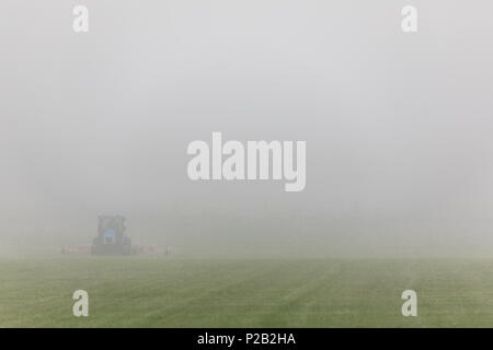 Traktor mähen das Gras auf einer sehr nebligen Tag in in Bridghampton, NY Stockfoto