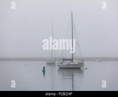 Mehrere Segel Boote am Liegeplatz im Hafen in Sag Harbor, NY Stockfoto