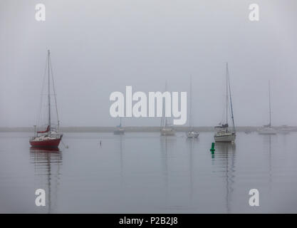 Mehrere Segel Boote am Liegeplatz im Hafen in Sag Harbor, NY Stockfoto