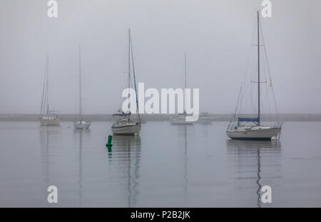 Mehrere Segel Boote am Liegeplatz im Hafen in Sag Harbor, NY Stockfoto