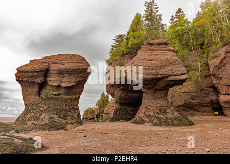 Hopewell Rocks Park, Hopewell Cape, NB, Canada Stockfoto