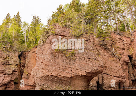 Hopewell Rocks Park, Hopewell Cape, NB, Canada Stockfoto