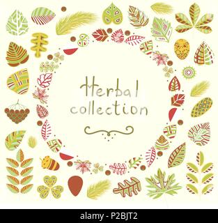 Eine natürliche pflanzliche Sammlung für Ihre Kreativität. Stilisierte Blätter, pflanze Elemente. Vector Illustration Stock Vektor