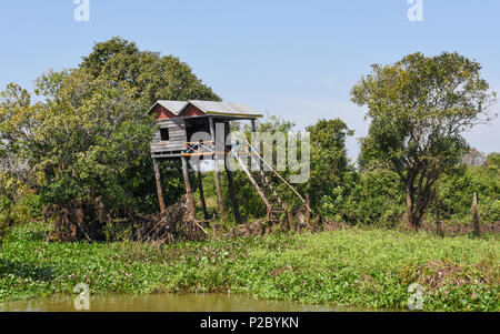 Holz- Haus in einem Nebenfluss des Flusses auf dem Tonle Sap See in Kambodscha Stockfoto