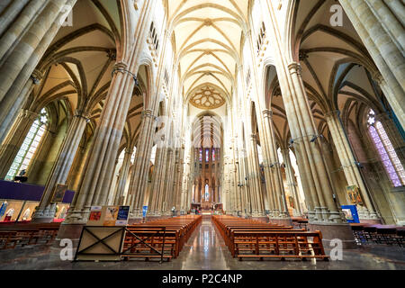 Catedral de María Inmaculada Madre de la Iglesia, Vitoria, Gasteiz, Álava, Baskenland, Euskadi, Euskal Herria, Spanien Stockfoto