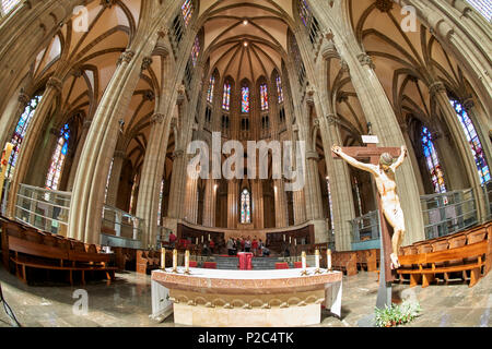 Catedral de María Inmaculada Madre de la Iglesia, Vitoria, Gasteiz, Álava, Baskenland, Euskadi, Euskal Herria, Spanien Stockfoto